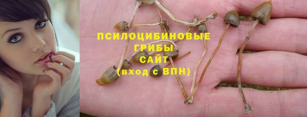 хмурый Армянск