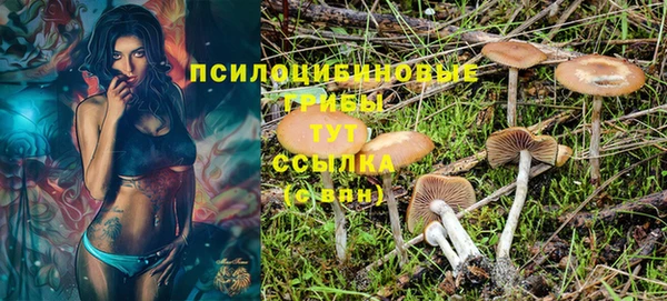 хмурый Армянск