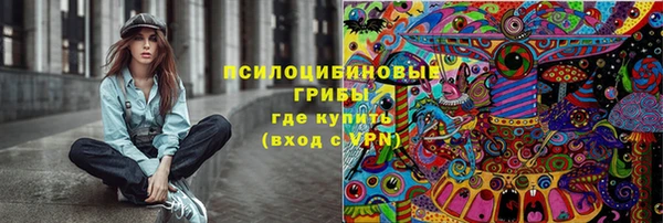 PSILOCYBIN Арсеньев