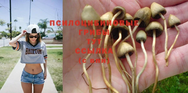 2c-b Протвино