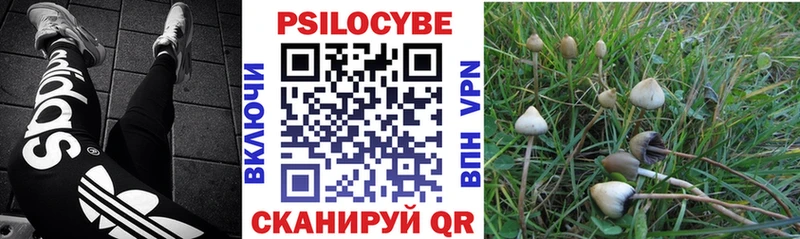 Псилоцибиновые грибы MAGIC MUSHROOMS  Грязи 